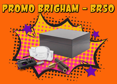 PROMOTIONS OFFRE PROMOTIONNELLE Cave équipée BRIGHAM Equinox Noyer 50 Cigares