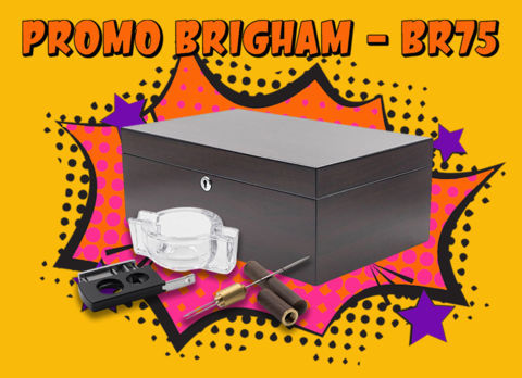 PROMOTIONS OFFRE PROMOTIONNELLE Cave équipée BRIGHAM Solstice Noyer 75 Cigares